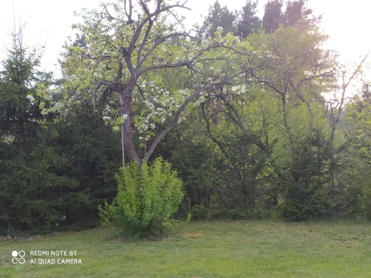 Dolistowka Apartamenty, Pole Namiotowe, Balia Z Jacuzzi, Ogrod Warzywny Dla Gosci, Plac Zabaw Dla Dzieci Goniadz Εξωτερικό φωτογραφία