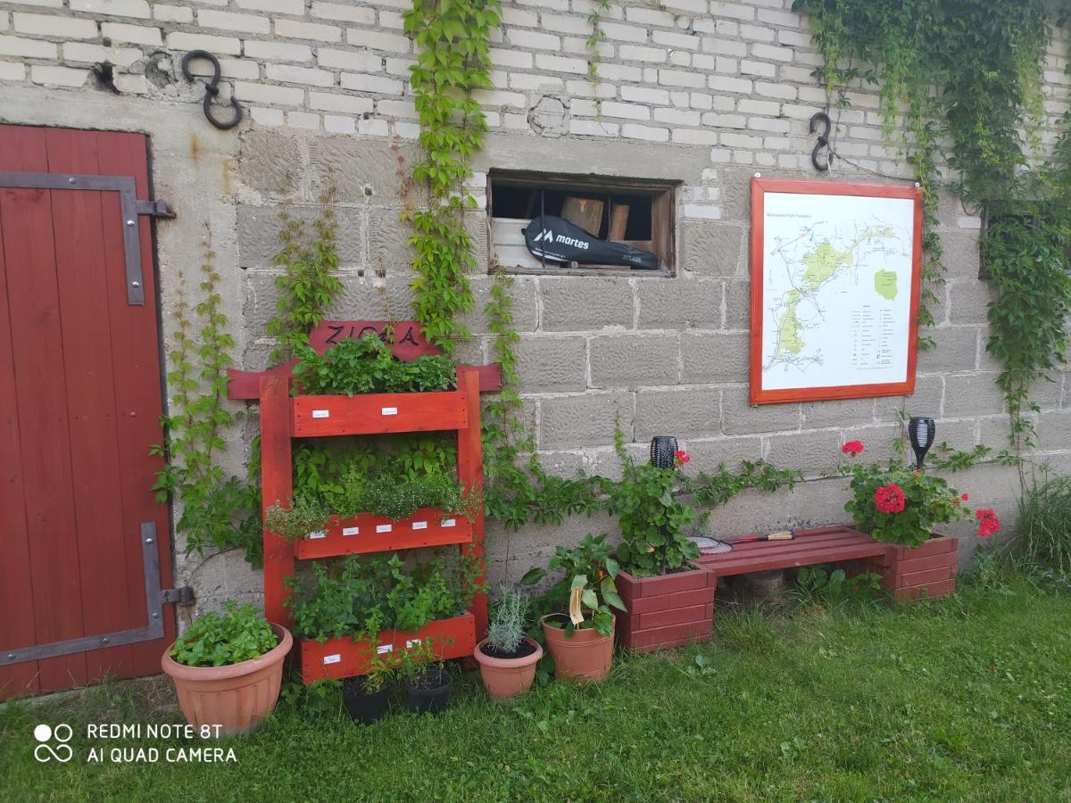 Dolistowka Apartamenty, Pole Namiotowe, Balia Z Jacuzzi, Ogrod Warzywny Dla Gosci, Plac Zabaw Dla Dzieci Goniadz Εξωτερικό φωτογραφία