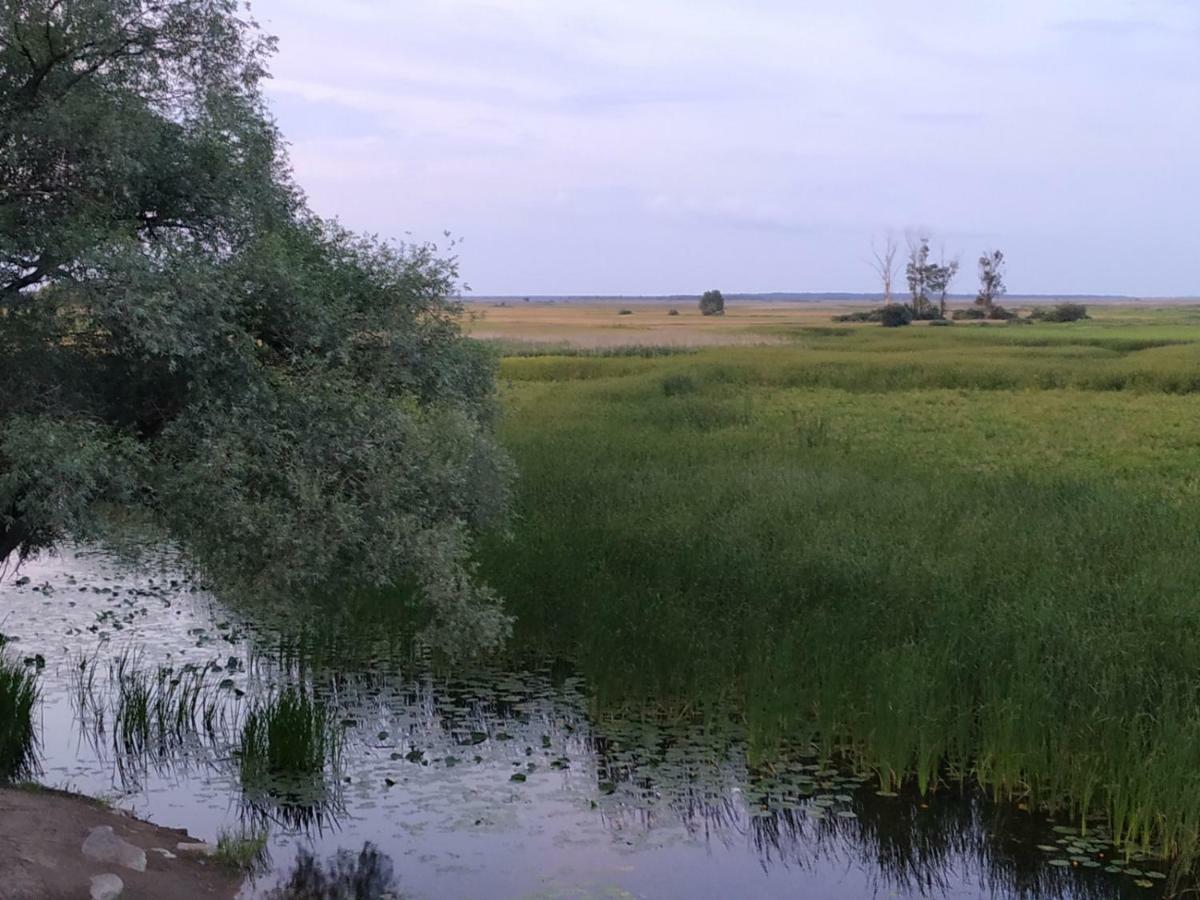 Dolistowka Apartamenty, Pole Namiotowe, Balia Z Jacuzzi, Ogrod Warzywny Dla Gosci, Plac Zabaw Dla Dzieci Goniadz Εξωτερικό φωτογραφία